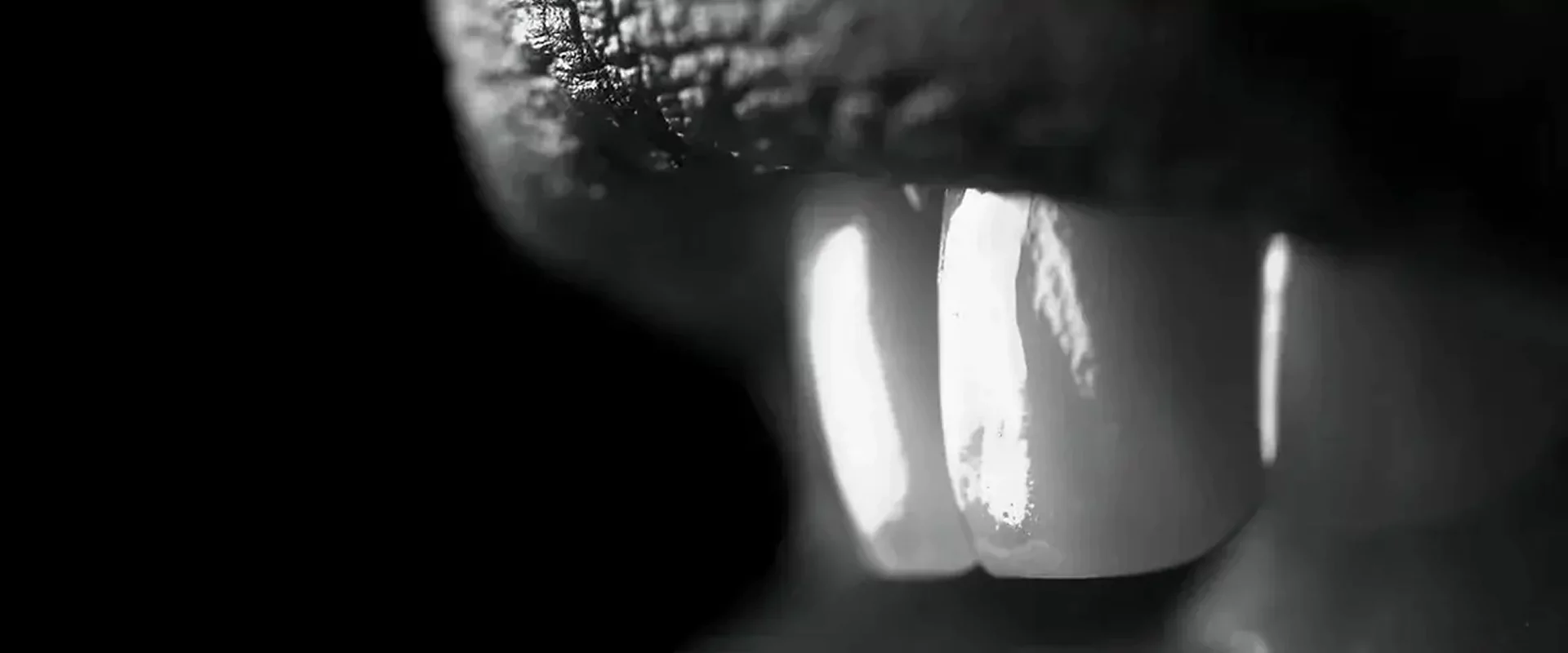 Offering Biomimetic Dentistry